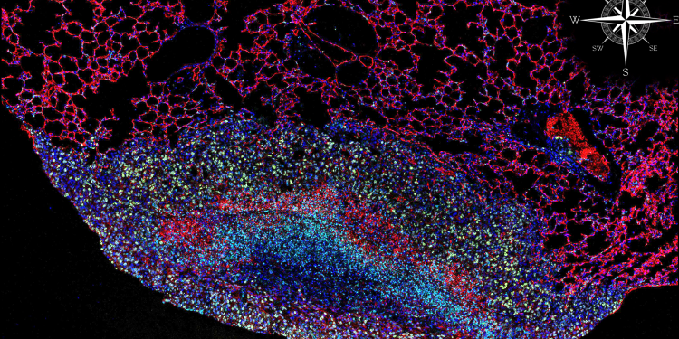 Spatial Biology hero image