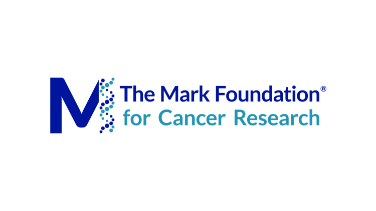 Mark Foundation logo with white background