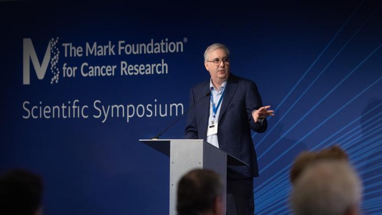 Ryan Schoenfeld at Mark Foundation symposium