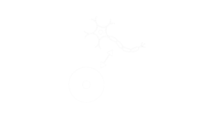 Nervous system and cancer challenge icon