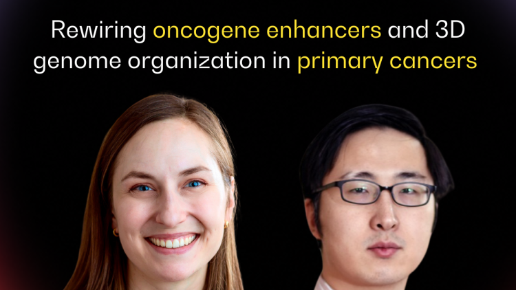 New findings from team eDyNAmiC 