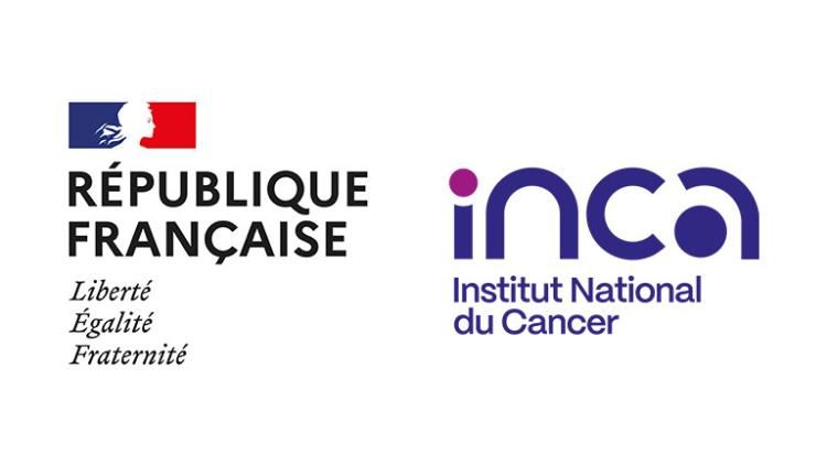 French institute logo