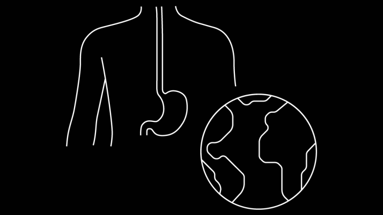 Icon of body next to icon of globe