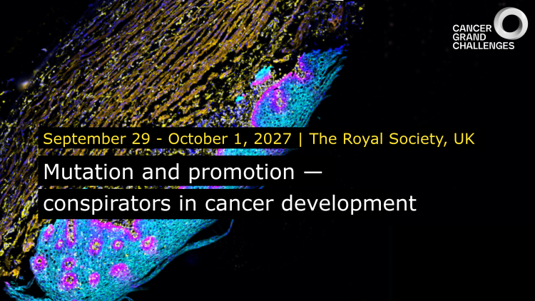 Mutation and promotion — conspirators in cancer development