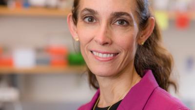 Dr Kimberly Stegmaier