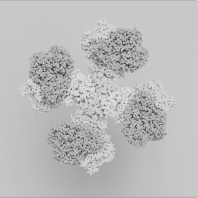 Greyscale image of cells