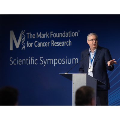 Ryan Schoenfeld at Mark Foundation symposium