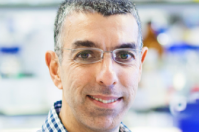 Reuven Agami​, Netherlands Cancer Institute