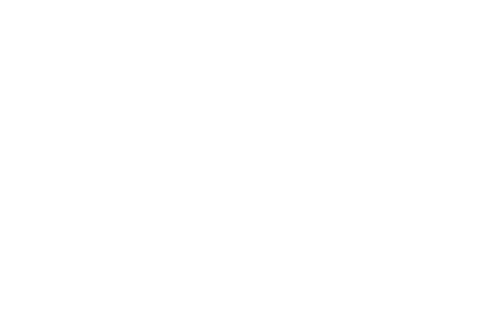 Bowelbabe Fund logo