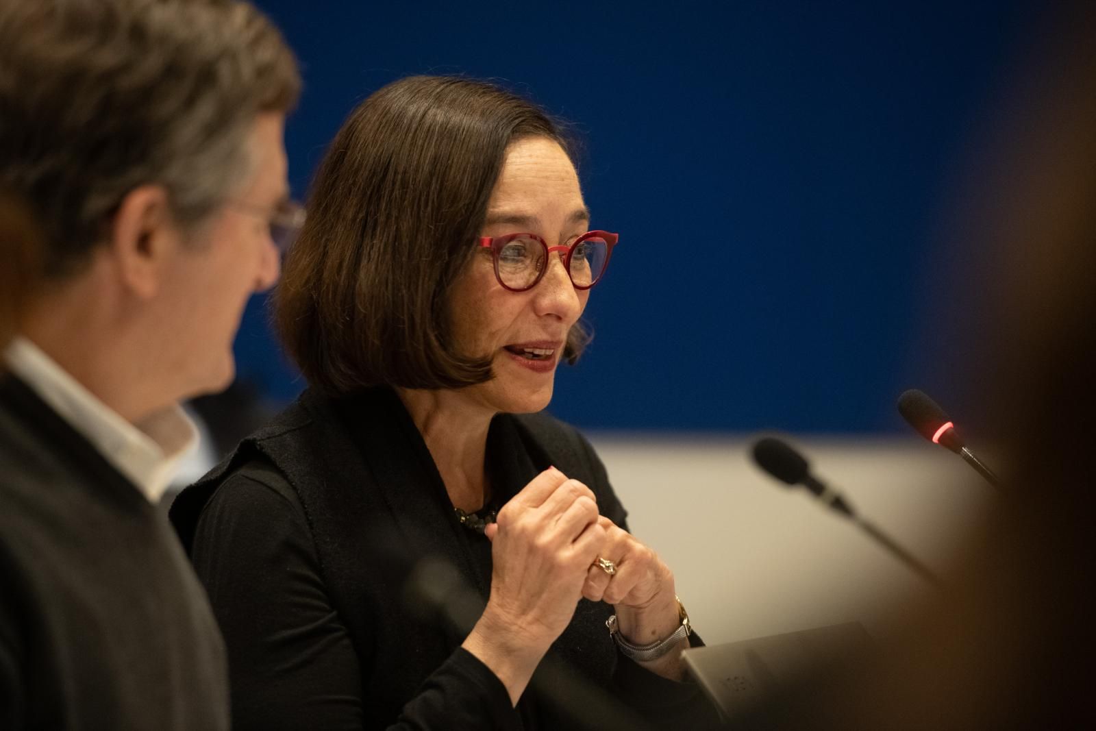 Professor Judy Garber at a Scientific Committee meeting, to set our 2023 challenges