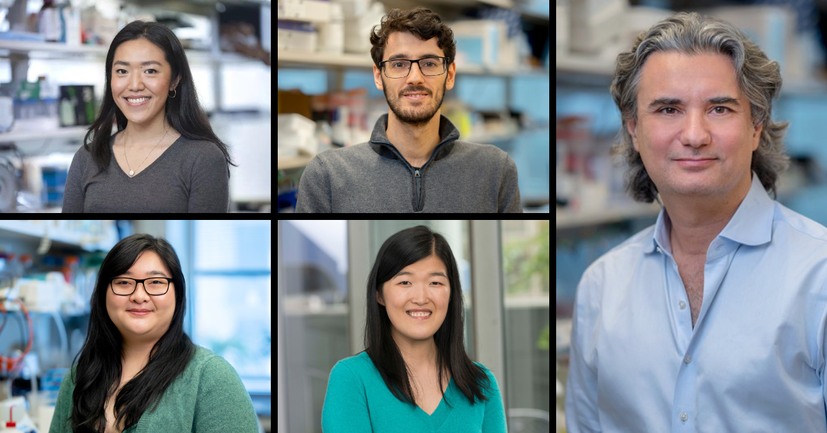 Davide Pradella, Rui Gao, Melissa Yao, Minsi Zhang, Andrea Ventura