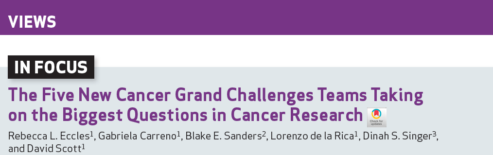 Screenshot of DOI journal