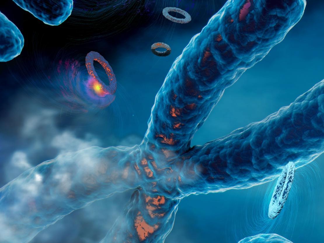 Clusters of mutations: a new driver of tumour evolution | Cancer Grand ...