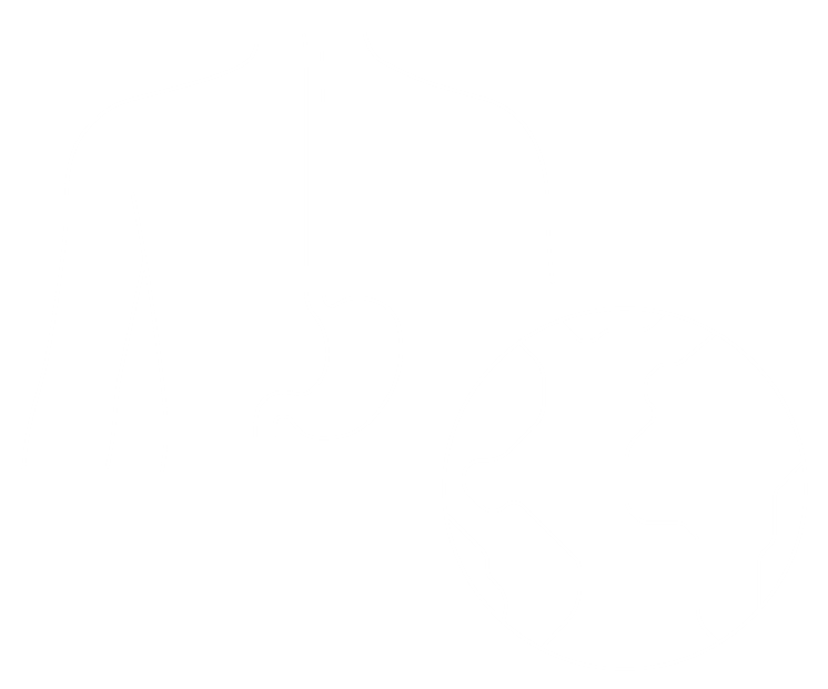 Oesophegus and stomach with globe